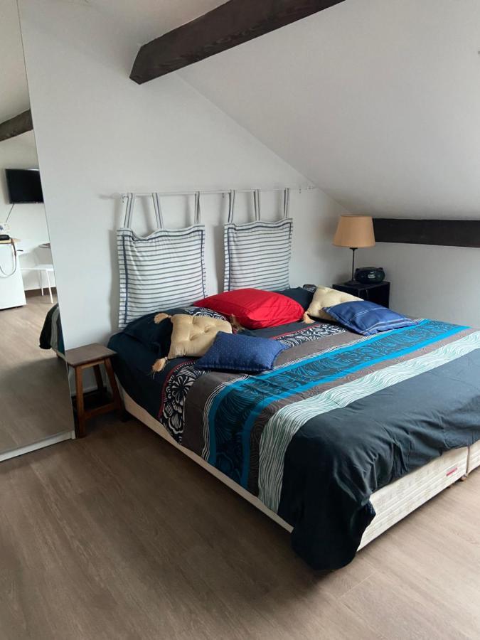 Joli Centre-ville Apartment